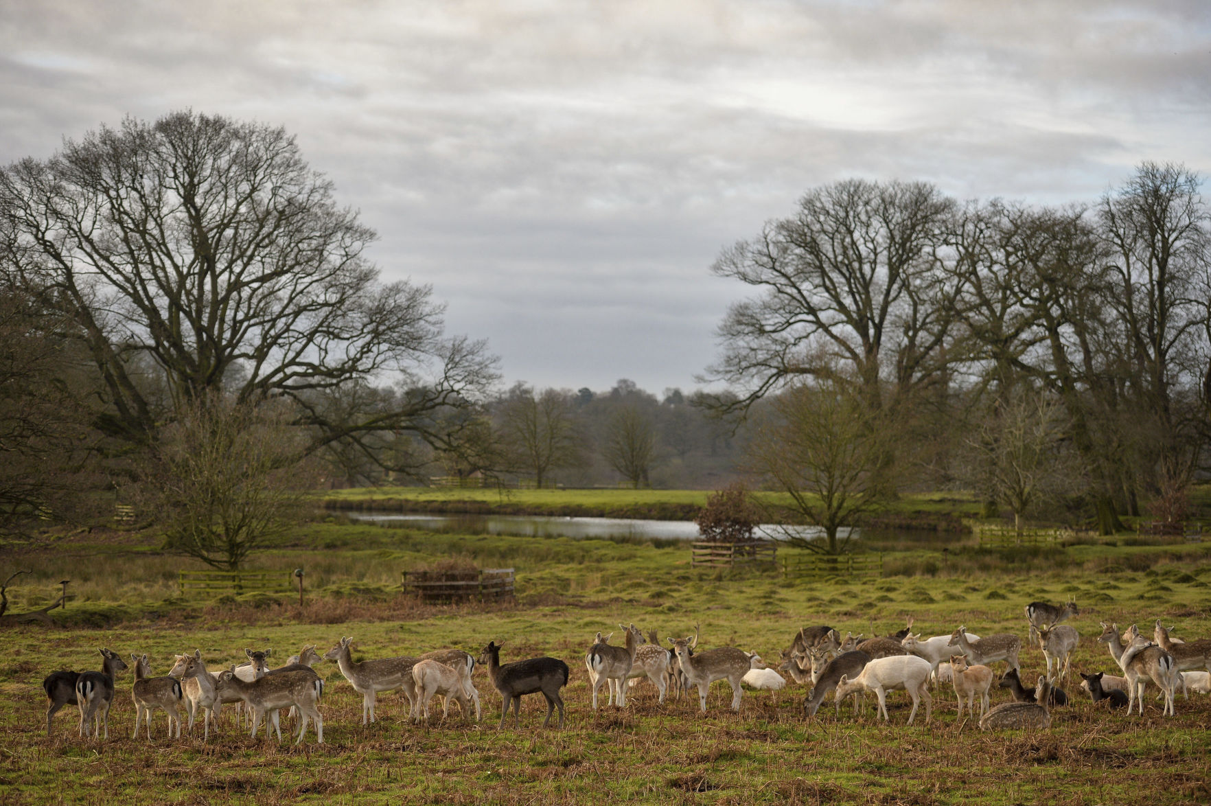 APTOPIX Britain Daily Life
